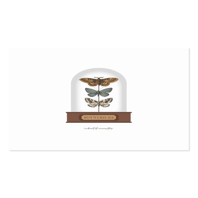 Butterflies Featuring Moths In A Glass Dome Square Business Card