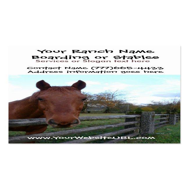 Horse Riding Stables Or Boarding Services Business Card