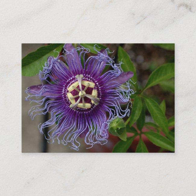 Passion Flower Business Card