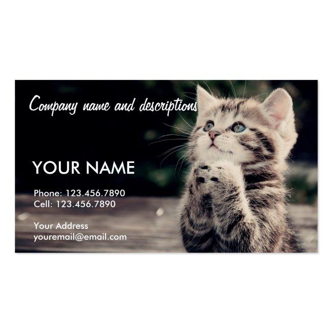 Very Cute Praying Cat Business Card