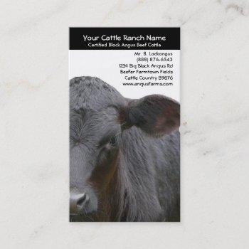 Small Angus Cow  Closeup Photo For Farmers Business Card Front View