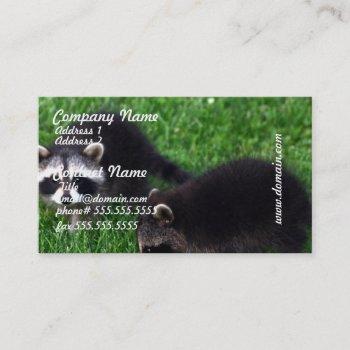 baby raccoons business cards