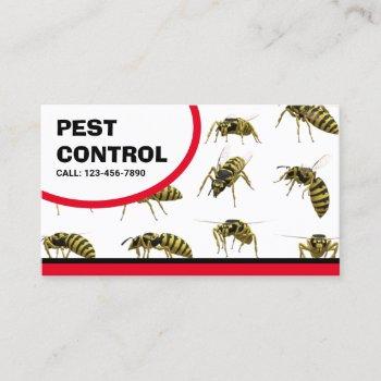 bed bugs removal pest control service business car business card