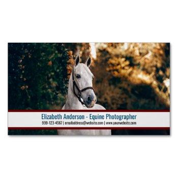 big photo equine photographer business card magnet