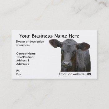 black angus beef cow business card