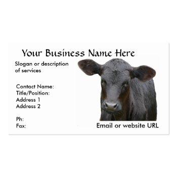 Small Black Angus Beef Cow Business Card Front View