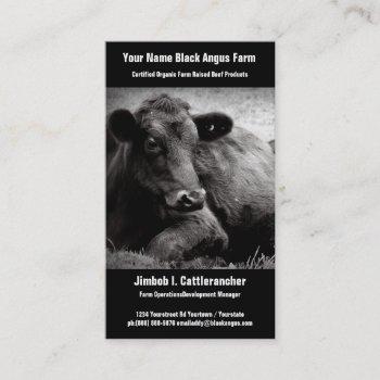 black angus  beef ranch or farm business business card