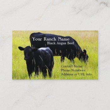 black angus cattle grazing in field business card