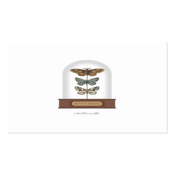 Small Butterflies Featuring Moths In A Glass Dome Square Business Card Front View