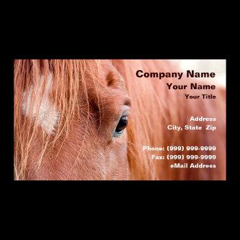 closeup of horse business card