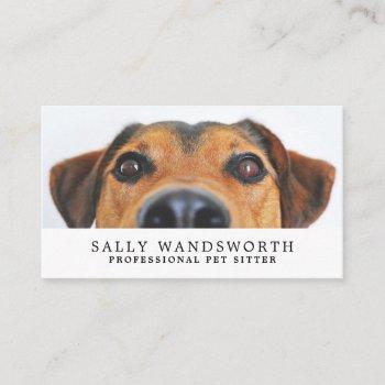 cute dog, pet sitter business card