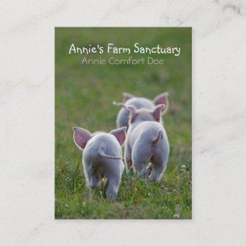 cute piglets farm sanctuary business card