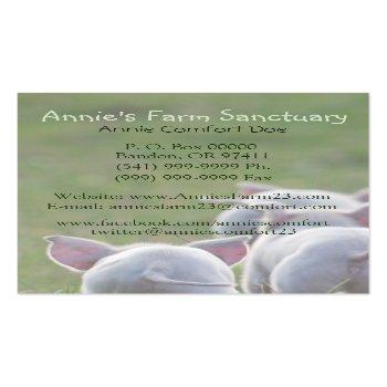 Small Cute Piglets Farm Sanctuary Business Card Back View