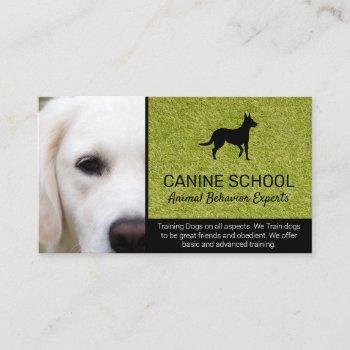 dog trainer | animal behavior business card
