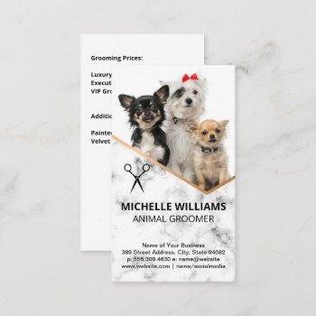 dogs sitting | groomer business card