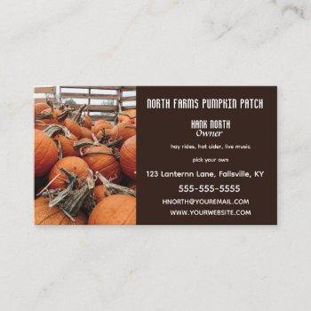 editable pumpkin patch farm business card