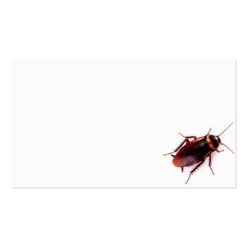 Small Exterminator Business Cards (cockroach) Front View
