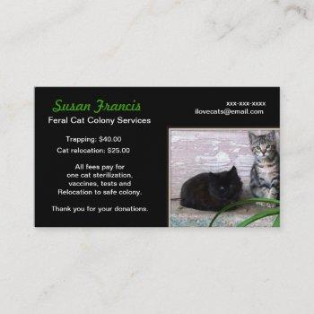 feral cat cause business card