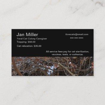 feral cat colony caregiver business card