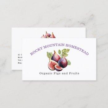 fig fruit organic botanical illustration business card