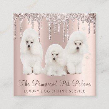 glam gold rose glitter drips poodle pet sitting square business card