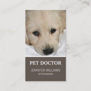 groupon dog doctor business card