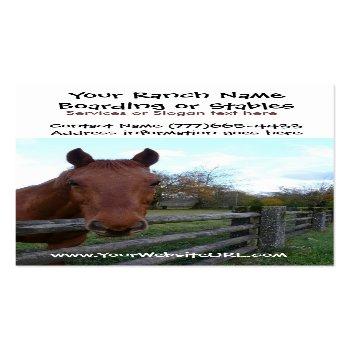 Small Horse Riding Stables Or Boarding Services Business Card Front View