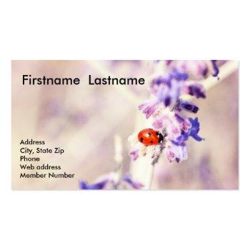 Small Ladybug Business Card Front View