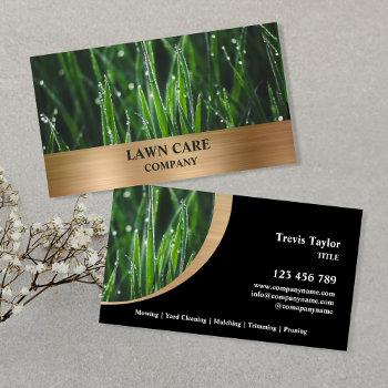 lawn care landscape modern professional yard busin business card