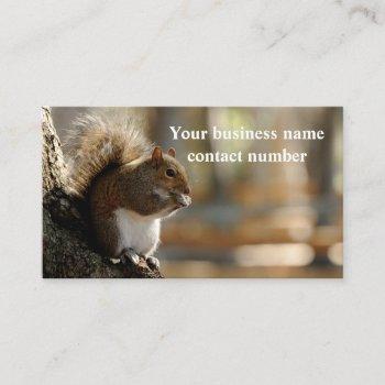 mr squirrel business card