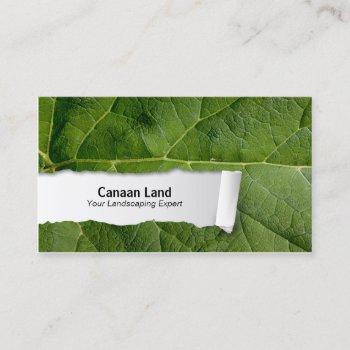 nature customizable leaf closeup business card