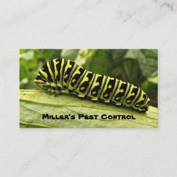 pest control business card