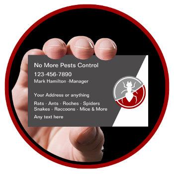 pest control modern exterminating business cards