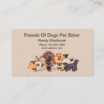 pet sitter business cards dogs theme