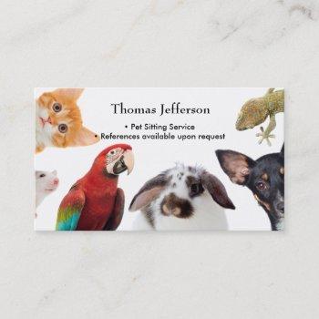 pet sitting service  business card