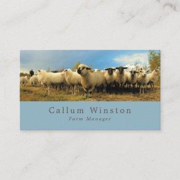 sheep farm, farmer & butcher business card