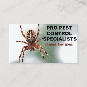 spider photo pest control service business card