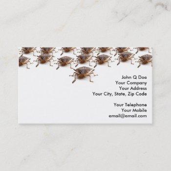stink or shield bug for pest exterminator business card