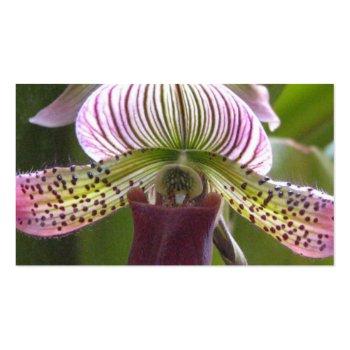 Small Unusual Orchid Business Cards Back View