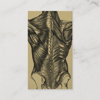 vintage back anatomy business cards