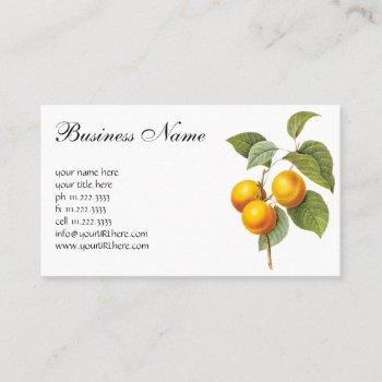 vintage food fruit, apricot peach by redoute business card