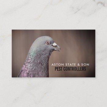 wood pigeon, pest control business card