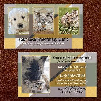 your 4 photos animal or veterinary clinic business card